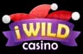 iWild Casino logotyp
